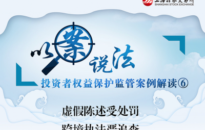 以案说法：虚假陈述受处罚-跨境执法严追查