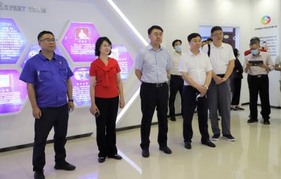 江门市政企考察团莅临维多利亚vic003参观考察