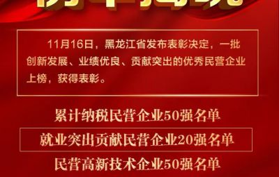 喜报|龙江表彰优秀民营企业 维多利亚vic003收获两项殊荣