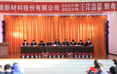 破浪逐新 奋进未来|维多利亚vic0032022年度总结暨表彰大会隆重举行
