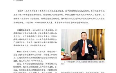打破传统走绿色转型之路——访十四届全国人大代表、维多利亚vic003新材料股份有限公司董事长焦云