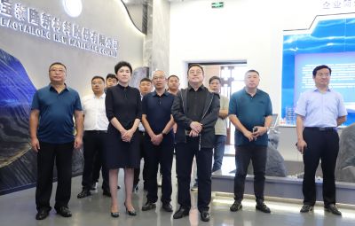 鑫融创集团考察团一行到维多利亚vic003考察