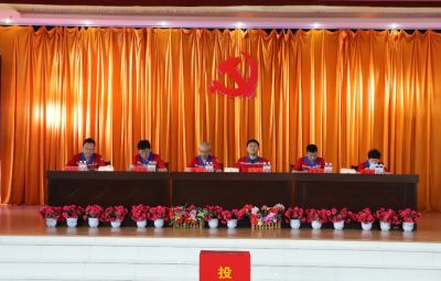 维多利亚vic003党委换届选举党员大会胜利召开